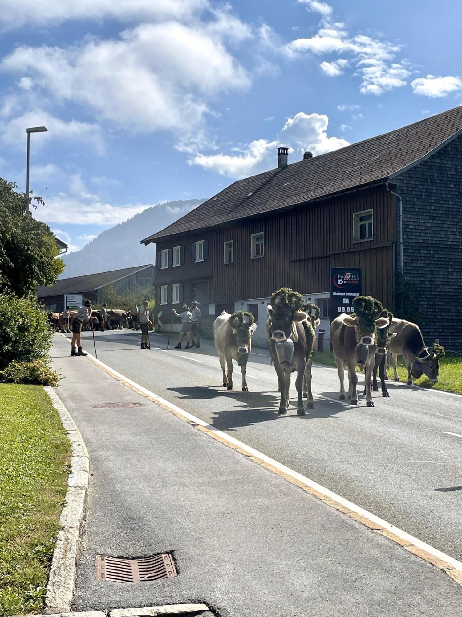 Zu Gast Bei Den Hagspiels Daire Hittisau Dış mekan fotoğraf